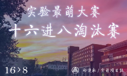 Featured image of post 实验最萌大赛 十六进八淘汰赛投票通道